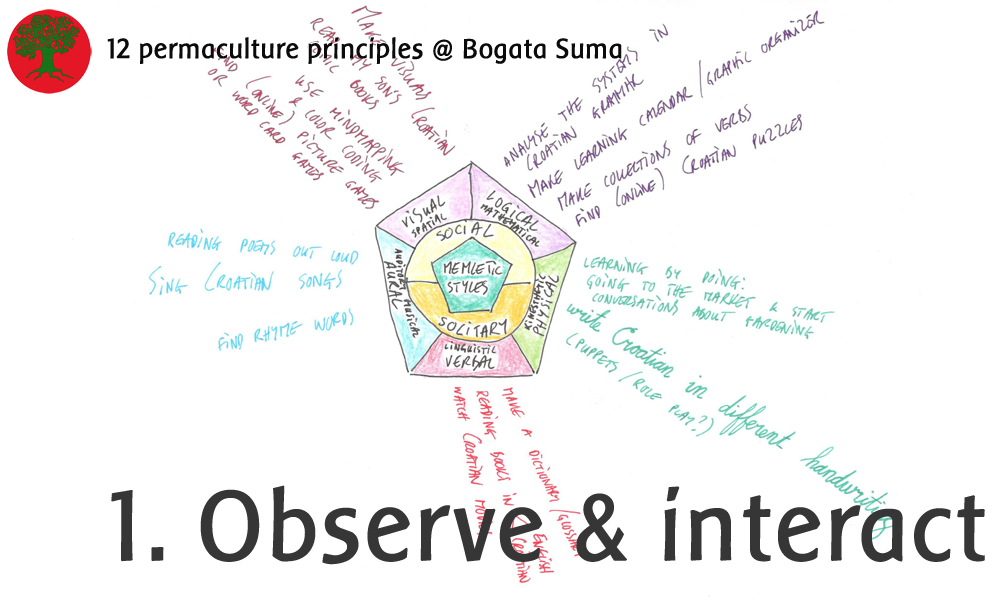 1. Observe and interact
