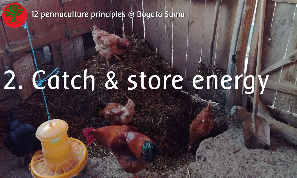 permaculture principle: Catch & store energy
