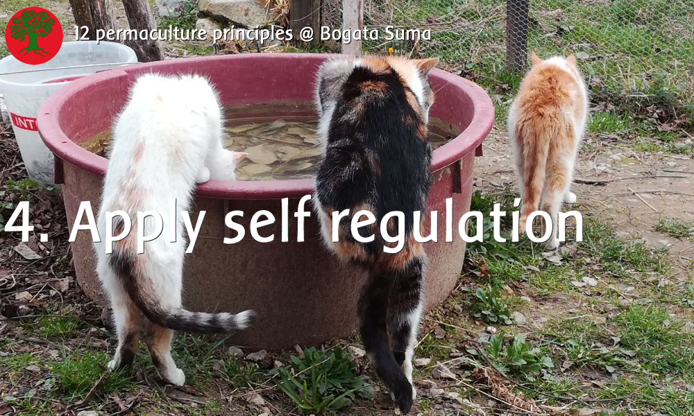 Permaculture principle 4. Apply Self-regulation and Accept Feedback