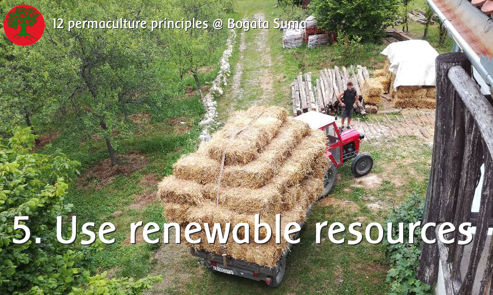 Permaculture principle 5. Use and Value Renewable Resources and Services 