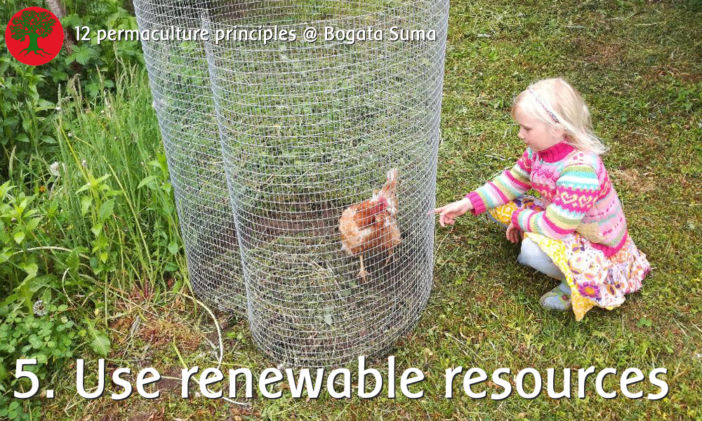 Permaculture principle 5. Use and Value Renewable Resources and Services 