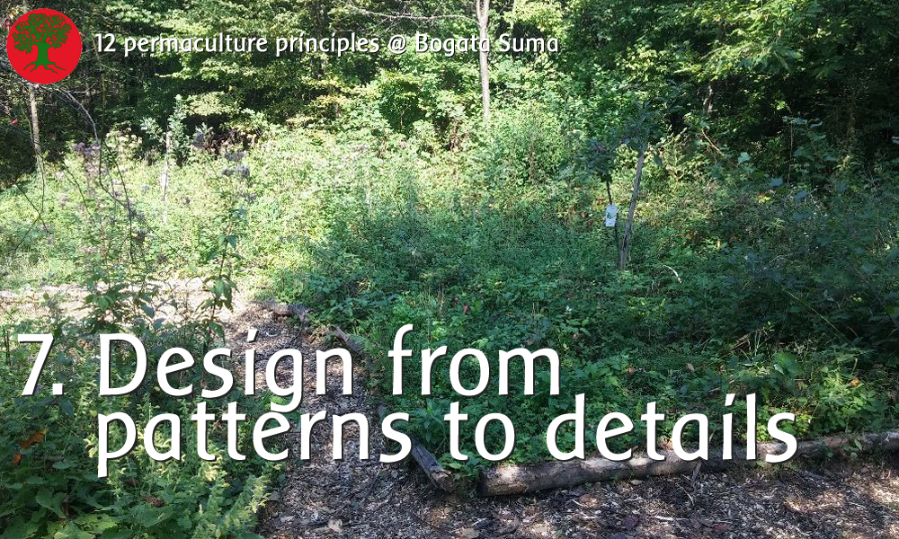 Permaculture principle 7: Design from Patterns to Details. The succesful patterns in a garden or in woodlands are great to mimic in a food forest.