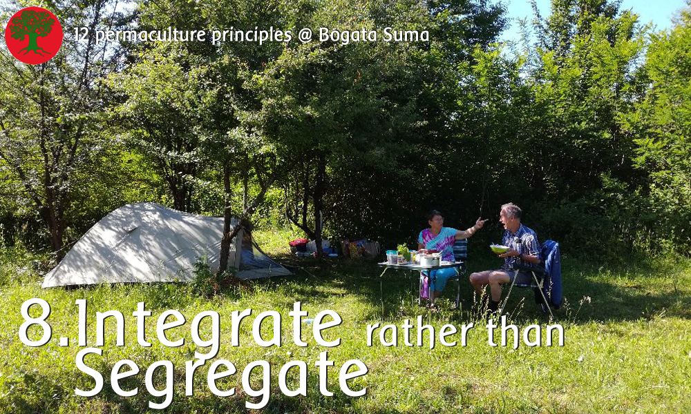 Permaculture principle 8: Integrate rather than Segregate. We rather integrate camping guests with the hay producing open spots in the orchard!