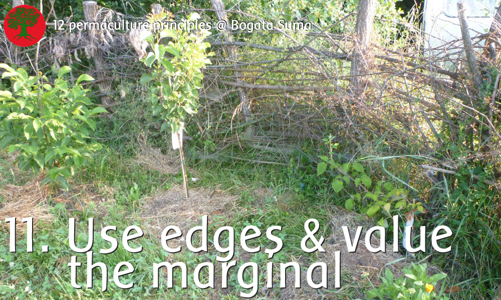 Permaculture principle 11: Use the Edges and Value the Marginal