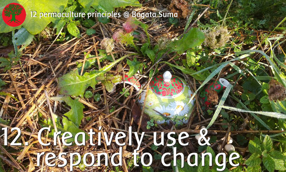 Permaculture principle 12: creatively use and respond to change