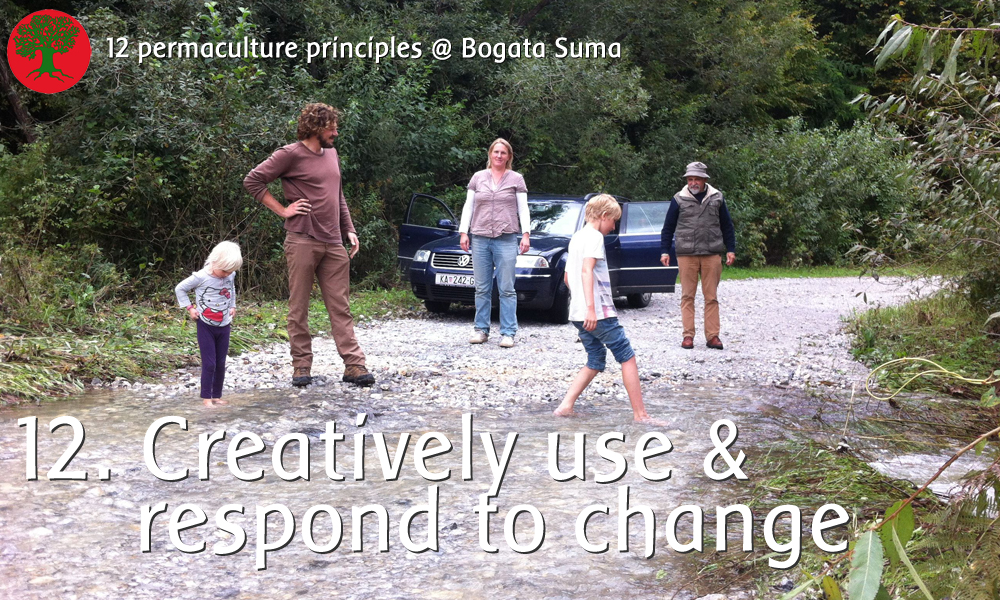 Permaculture principle 12: Creatively Use & Respond to Change