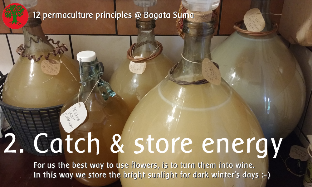 Permaculture principle 2: Catch and Store Energy