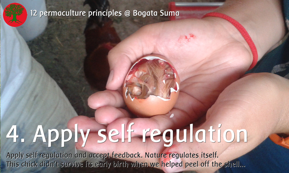 Permaculture principle 4. Apply Self-regulation and Accept Feedback