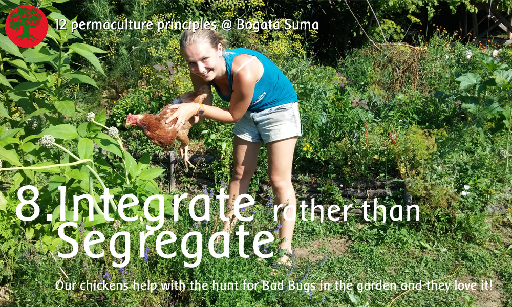 Permaculture principle 8: Integrate rather than Segregate