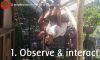 Observe and Interact