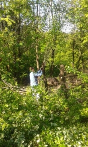 Mark cleaning the forest garden area