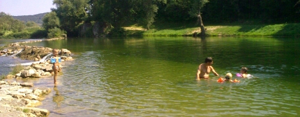 Swimming in the river in the afternoon