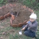 Making a keyhole garden 2