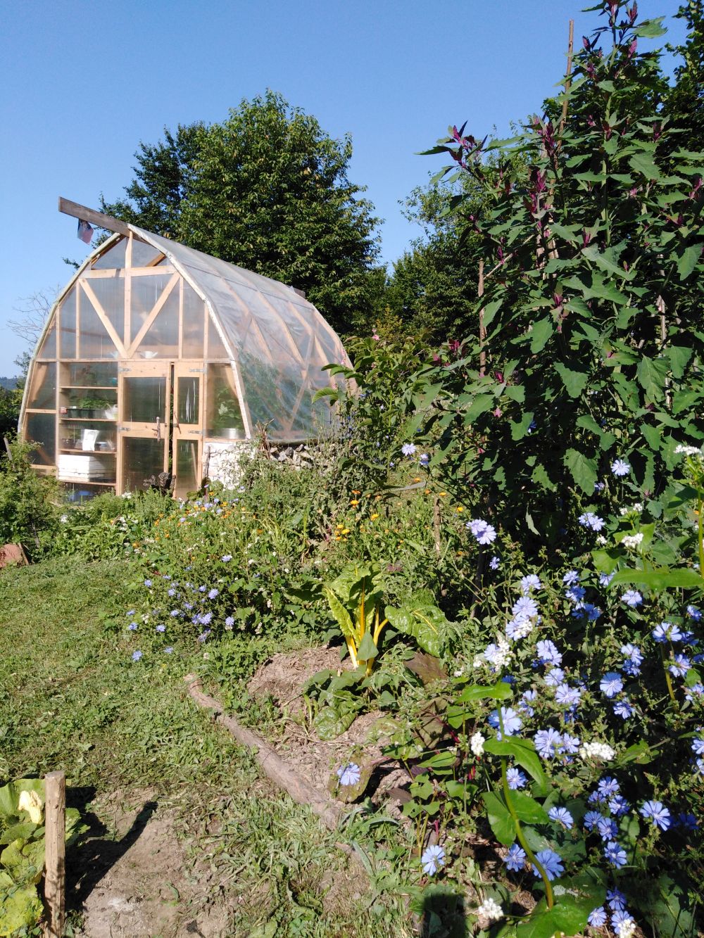 Greenhouse in the permaculture garden