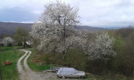 Bogata Suma's terrain