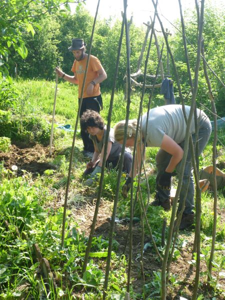 Working in the garden with volunteers