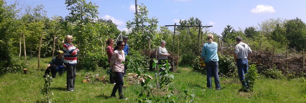 Open permaculture farm day