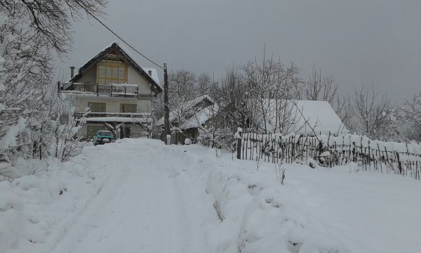 The house in winter