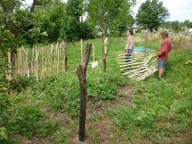 volunteering on a permaculture farm